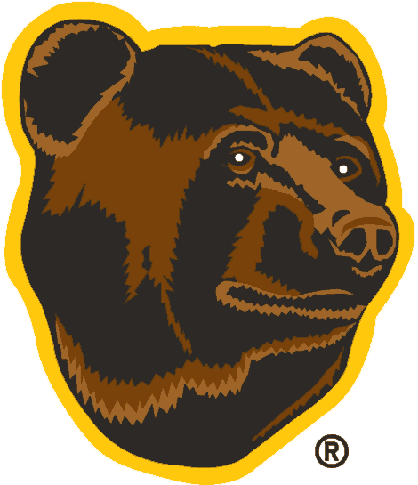 Boston Bruins 1995-2007 Alternate Logo t shirts iron on transfers